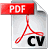 CV de remy desoulle format pdf